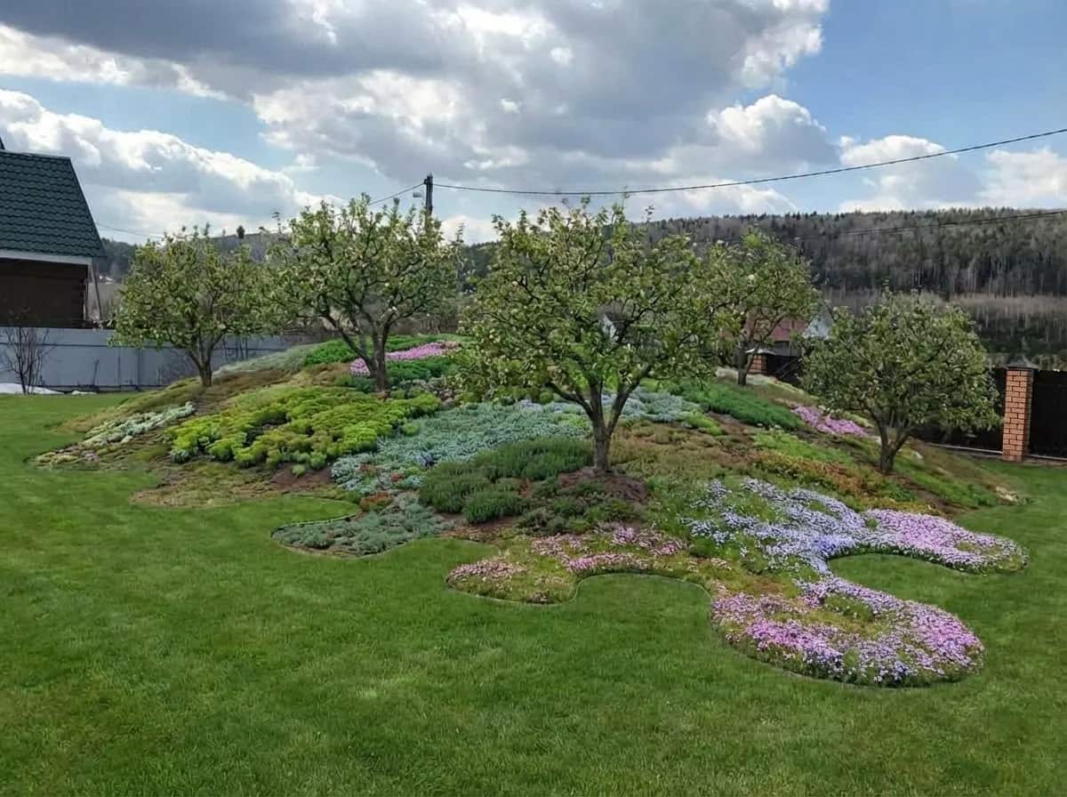 Риза (после)