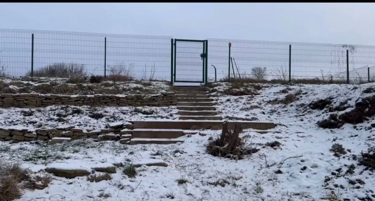 Задний двор -> Эко-комплекс (до)